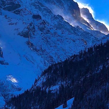 Romantisches Plaetzchen In Der Natur Grindelwald Exteriér fotografie