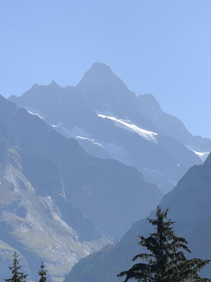 Romantisches Plaetzchen In Der Natur Grindelwald Exteriér fotografie