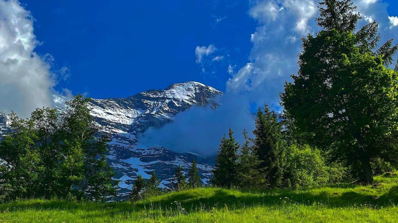 Romantisches Plaetzchen In Der Natur Grindelwald Exteriér fotografie