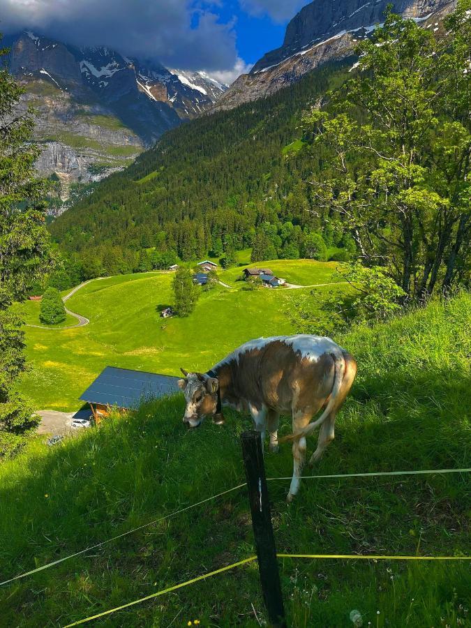 Romantisches Plaetzchen In Der Natur Grindelwald Exteriér fotografie