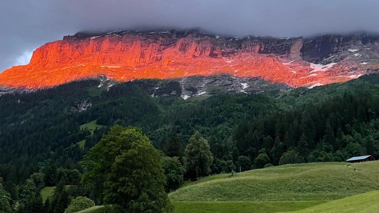 Romantisches Plaetzchen In Der Natur Grindelwald Exteriér fotografie