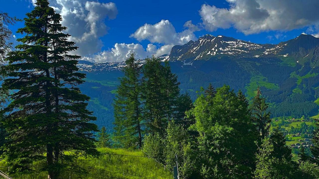 Romantisches Plaetzchen In Der Natur Grindelwald Exteriér fotografie