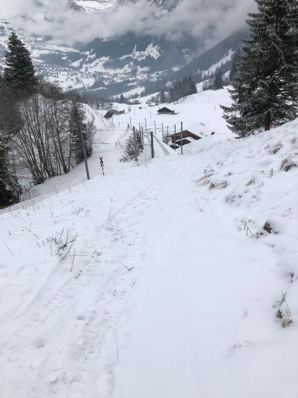 Romantisches Plaetzchen In Der Natur Grindelwald Exteriér fotografie