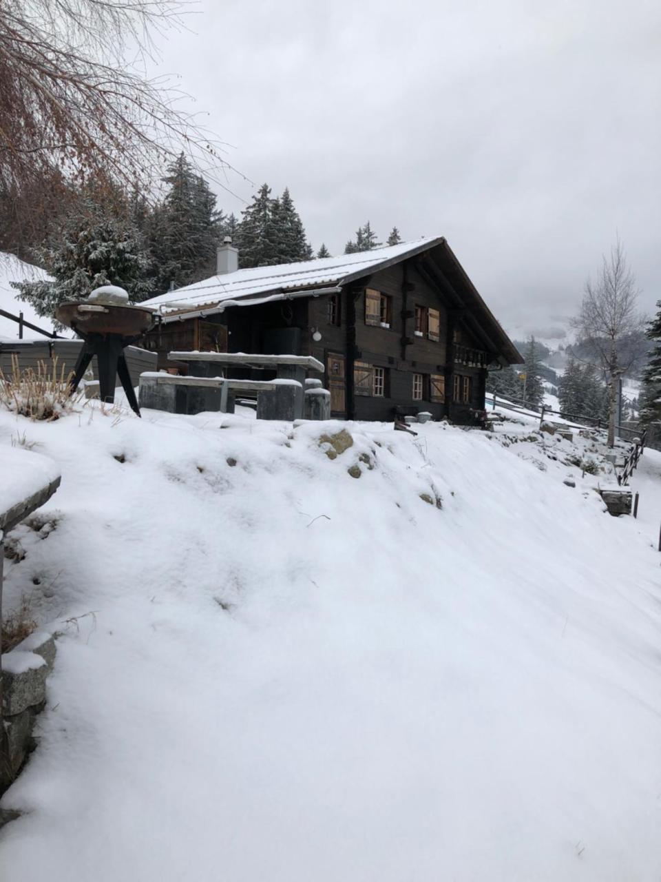 Romantisches Plaetzchen In Der Natur Grindelwald Exteriér fotografie
