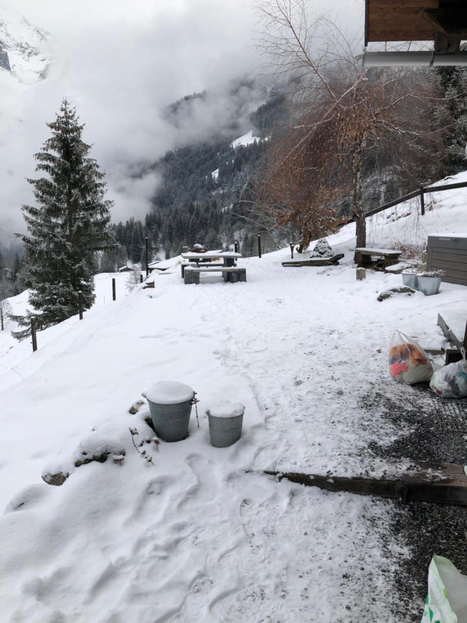 Romantisches Plaetzchen In Der Natur Grindelwald Exteriér fotografie