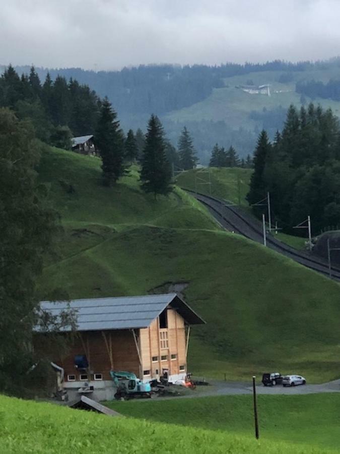 Romantisches Plaetzchen In Der Natur Grindelwald Exteriér fotografie